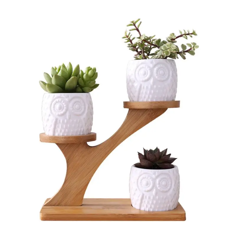 

Flowerpot Shelf Set With Bamboo Cute Owl Pot Succulent Cactus Ceramic Planter Decor