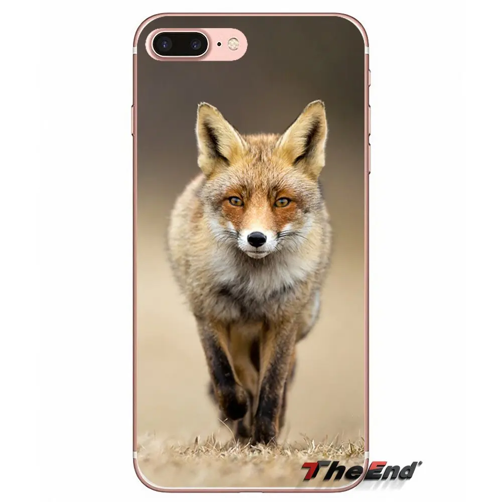 Милый чехол для телефона из мягкого ТПУ с изображением лисы iPhone X 4 4S 5 5S 5C SE 6 6S 7 8 Plus