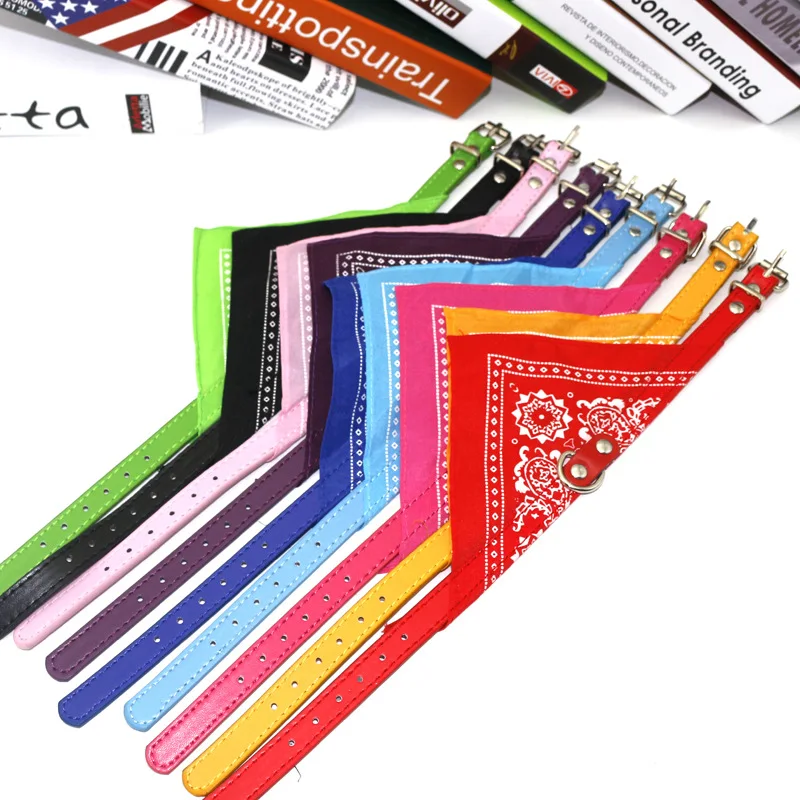 8566485141_518419832