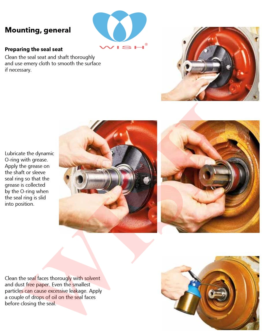 mounting general flygt