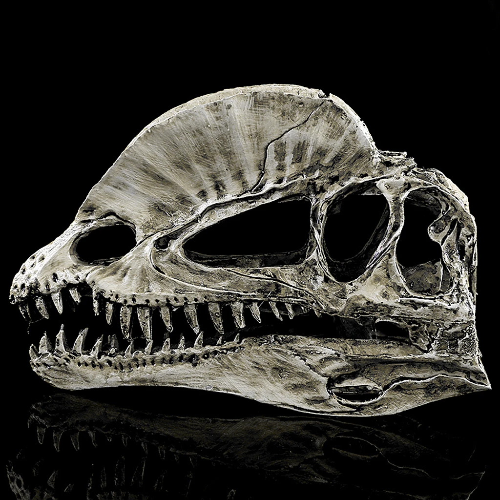 Dinosaur Skull Replica Skeleton Model Aquarium Ornament Antique Yellow