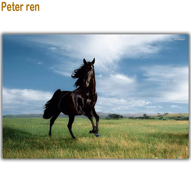 

Peter ren DIY Diamond painting by numbers Beaded embroidery Round \Square drill Mosaic Full Canvas for embroidery "Prairie Hors