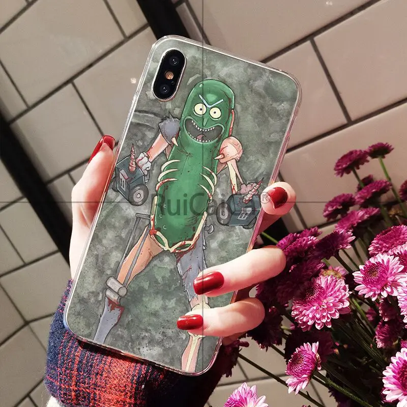 Rick and Morty pickle rick