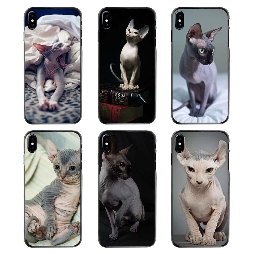 Friendliest sphynx cat kitty Poster Hard Phone Shell Case For Samsung Galaxy Note 2 3 4 5 S2 S3 S4 S5 MINI S6 S7 edge S9 S8 Plus |