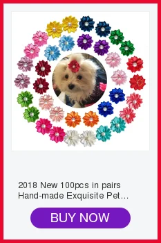 Cheap Acessórios para cães