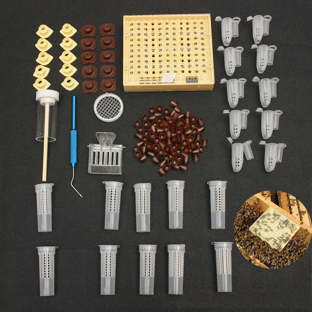 Vente Offre spéciale 155 pièces en plastique reine élevage système cultivant boîte cellule tasses abeille attrape Cage apiculture outil équipement