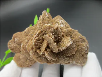 

100% Natural DESERT ROSE Crystal Stone Specimen Selenite Crystal Healing Stone Gypsum Flower Table Decor