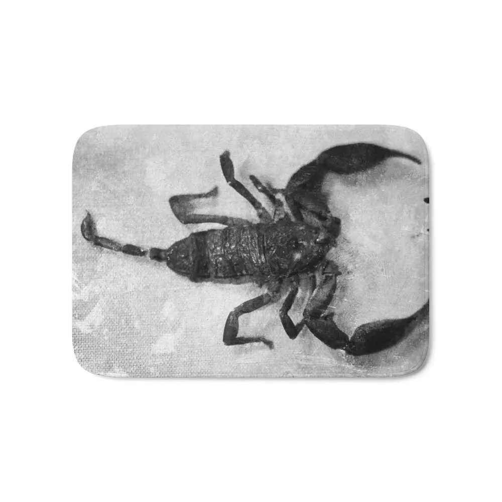 Скорпион Коврик для ванной 1" x 24" печатных ковры Нескользящие современный кухонный ковер домашний декор