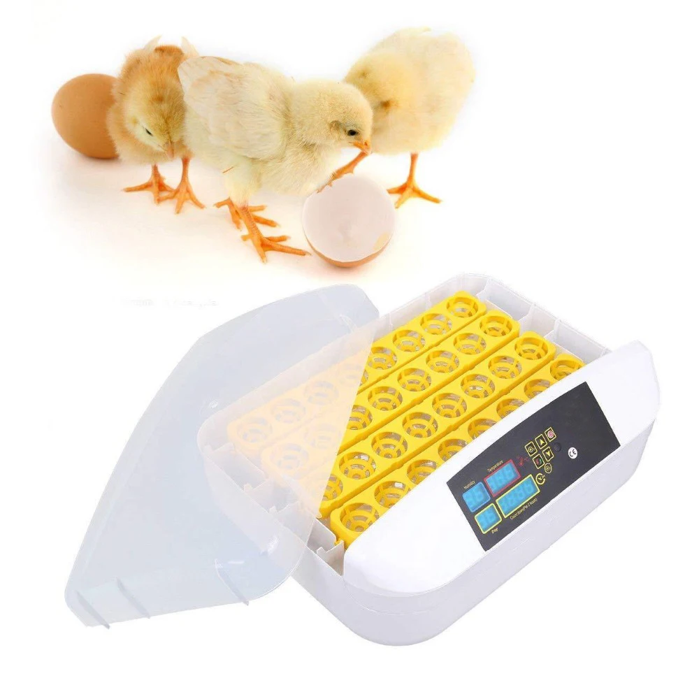 New Automatic Egg Incubator LED 32 Eggs Incubators Hatching Chicken Hatcher | Дом и сад