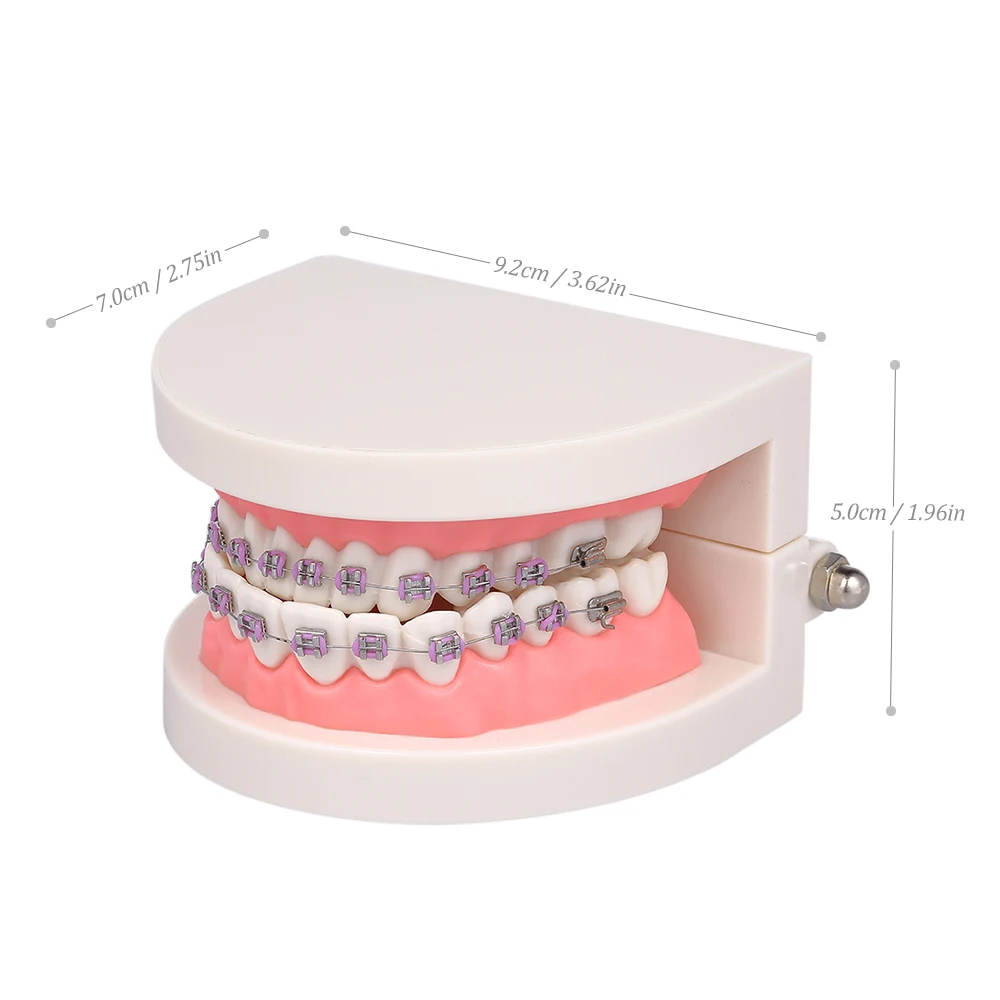 Стоматологическая Ортодонтическая модель Mallocclusion с кронштейнами Archwire Buccal модель зубов пробки для общения пациента обучения взрослых