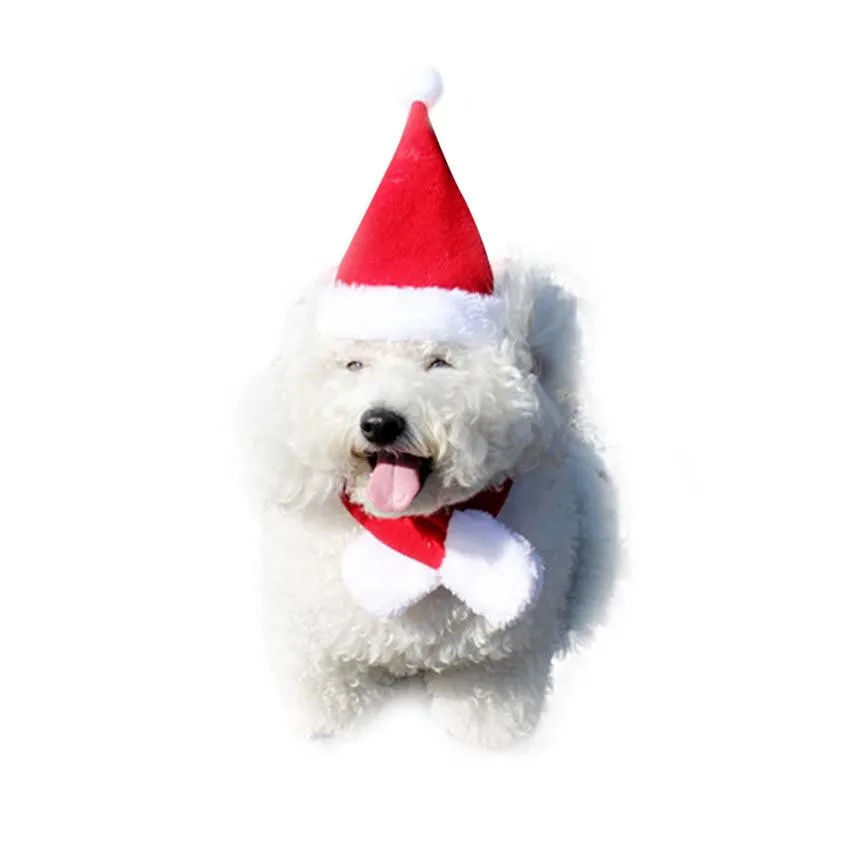 Новые 2 шт. Pet Cat собак Санта шапка+ шарф Рождество Рождественский красный праздничный костюм набор одежды леверт челнока dig6111