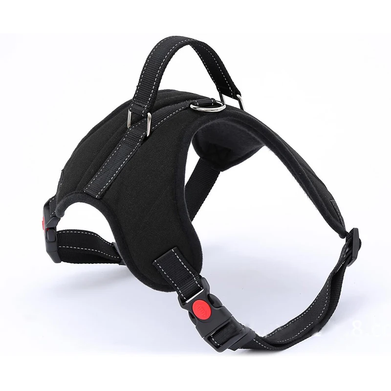 dog harness (3)