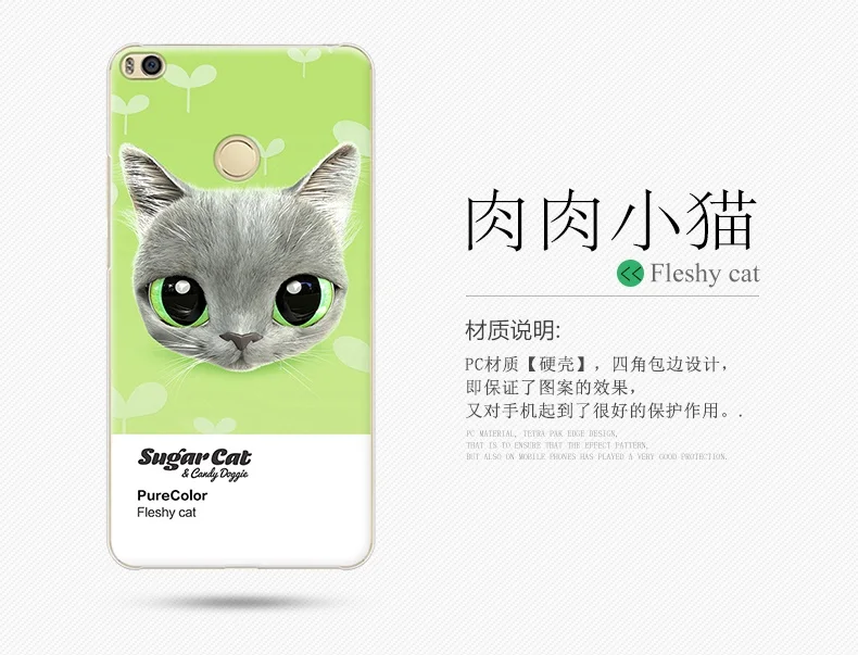 20170717_145137_1173