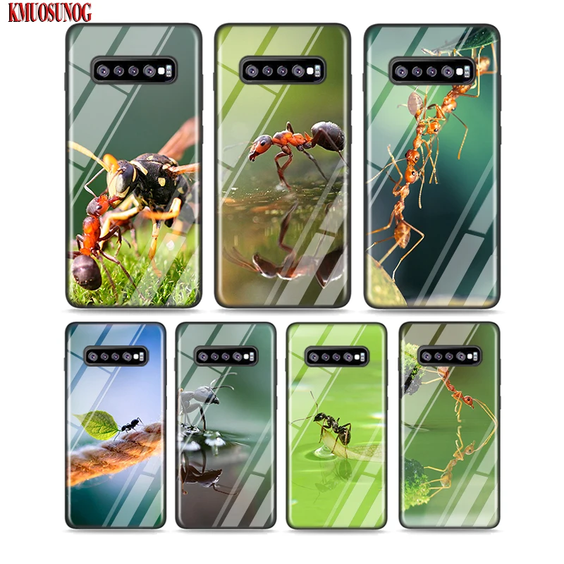 

Black Silicone Case Animal Ant Art Fashion for Samsung Galaxy Note 10 9 8 Pro M30 M20 S10E S10 5G S9 S8 S7 Plus Cover