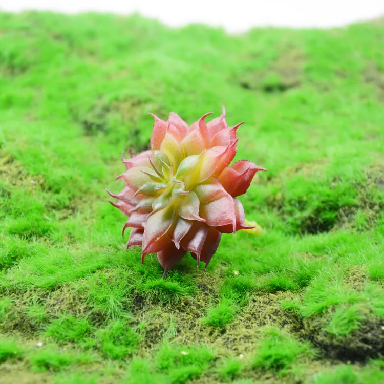 Мини искусственный мясистый тропический кактус растение Настоящее прикосновение ладони мини горшочек декоративный цветок для дома Talbe decor1шт - Цвет: small Lu Lian red