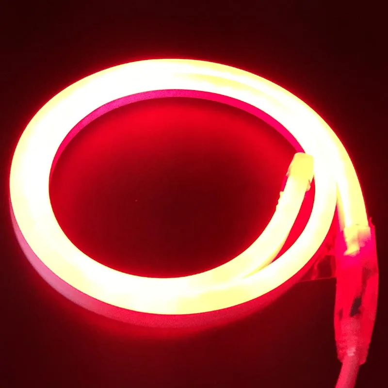 LED-Neon-Strip-AC220V-120LED-M-2835-flexible-Neon-LED-light-Power-Plug-Outdoor-Decorative-Strip (4)