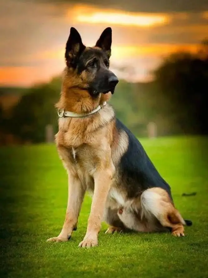 HTB1j3m2XU_rK1Rjy0Fcq6zEvVXa3