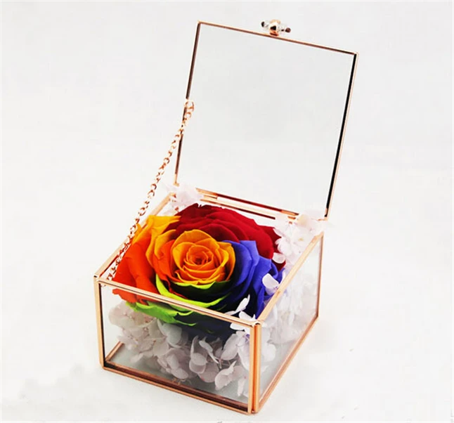 Cube Shape Geometric Terrariums1.jpg