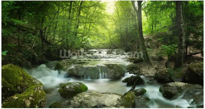 Custom natural landscape wallpaper,Enchanting Forest waterfall,3D photo mural for living room bedroom sofa background wallpape Custom natural landscape wallpaper,Enchanting Forest waterfall,3D photo mural for living room bedroom sofa background wallpape