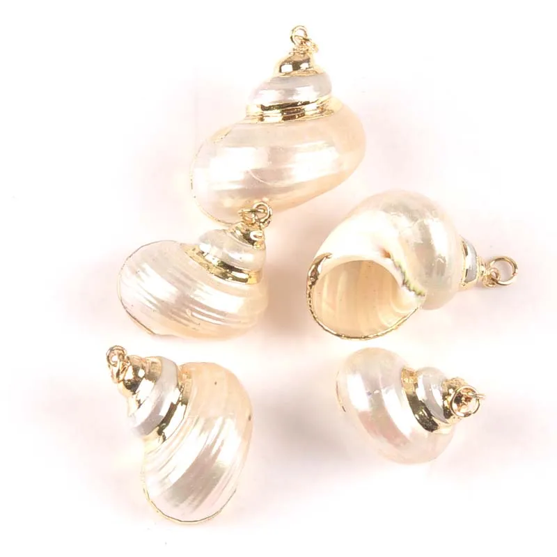 

Natural Spiral Shell Gold Plated for Jewelry DIY handmade charms pendant SeaShells Home decoration 20-30mm 5pcs TRS0299