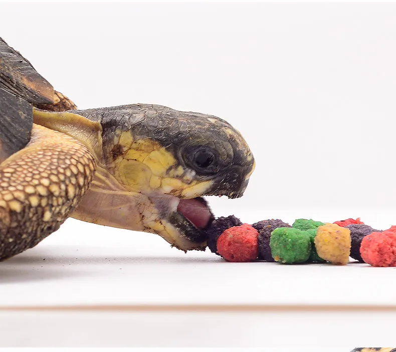 Deleba излучаемый Spurred черепаха Террапин черепаха корм, палочки гранулы рептилий Аквариум рыба еда Сделано в США