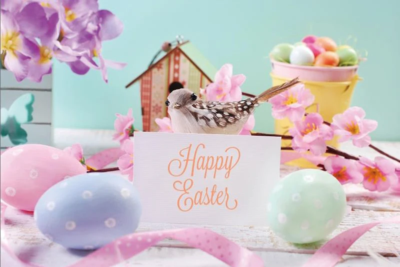 

Laeacco Easter Eggs Flowers Bird Card Baby Children Photography Background Customized Photographic Backdrops For Photo Studio