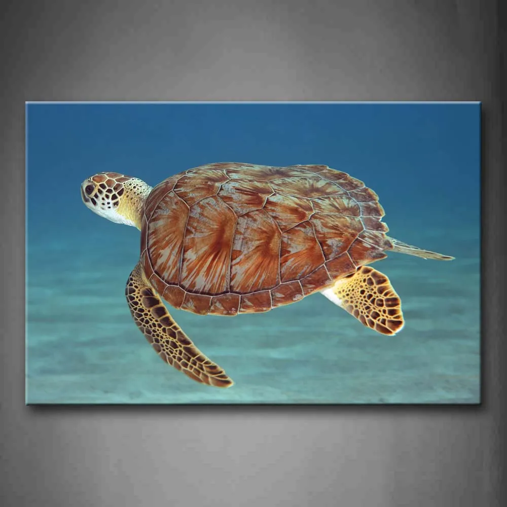 

Framed Wall Art Pictures Turtle Blue Sea Canvas Print Animal Modern Posters With Wooden Frame For Home Living Room Decor