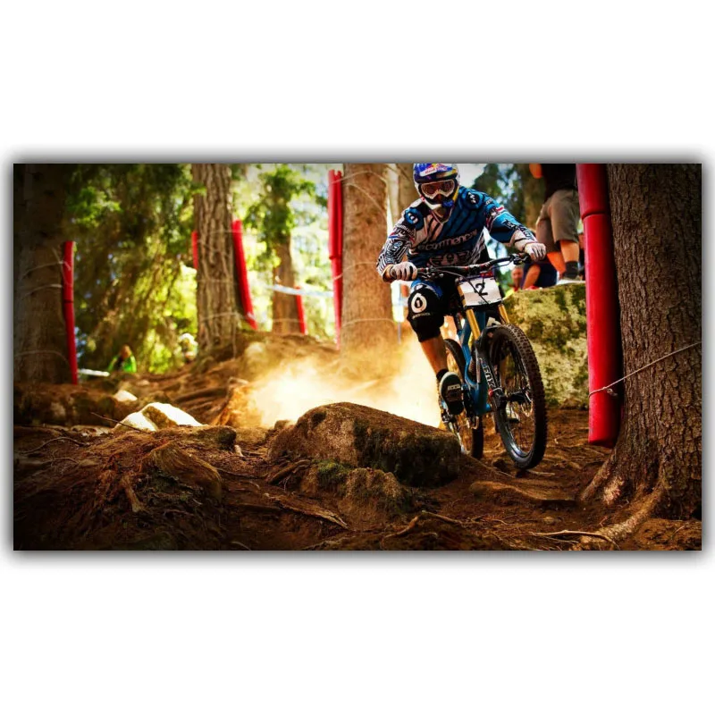 

Mountain Motorcycle Mountain Bike Competition Poster Custom Home Decoration Fashion Silk Fabric Wall Poster Car Design Wallpaper