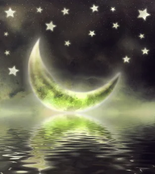 

Fairy tale photography backdrop Art fabric newborn&pet studio photography background MOON backdrops D-2968
