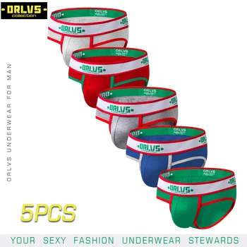

ORLVS 5PC/LOT Brand Sexy Men Briefs Comfortable Underpants Male Underwear Cueca Breathable Mesh Male Panties Cotton Quick Dry
