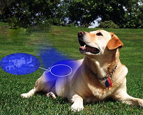 365nm uv light test (1)