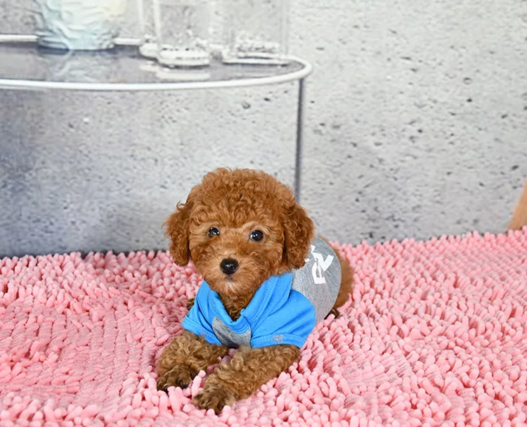 8989585175_919338936