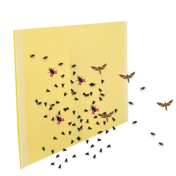 

50Pcs Sticky Insect Traps Board Cockroaches Ant Mosquito Glue Pest Fly Trap Flying Insect Traps Catching Killer Glue Stickers