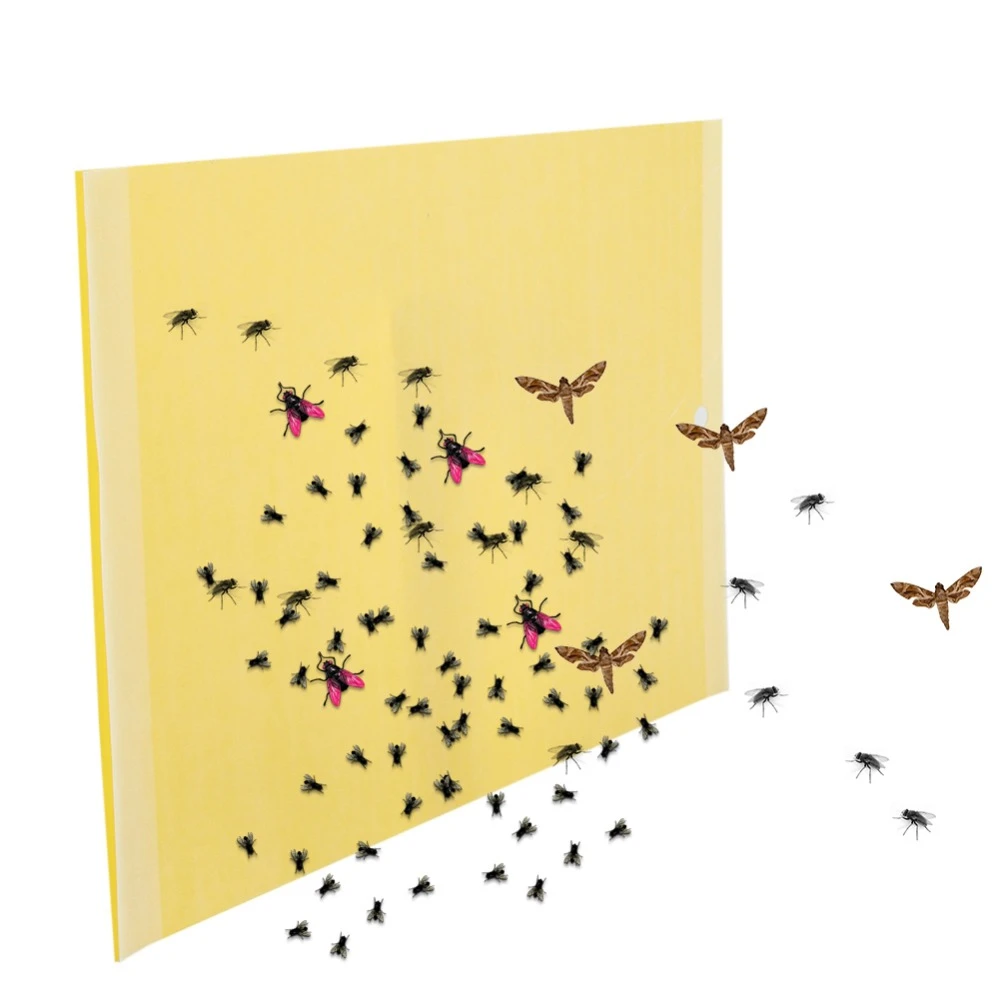 flying insect trap