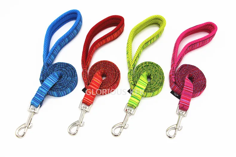 Dog Leash (11)