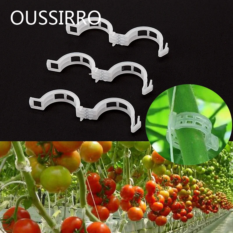 

Durable Clear Plant Support Clips Vine Garden Vegetables 23mm For Types Plants Hanging Plastic