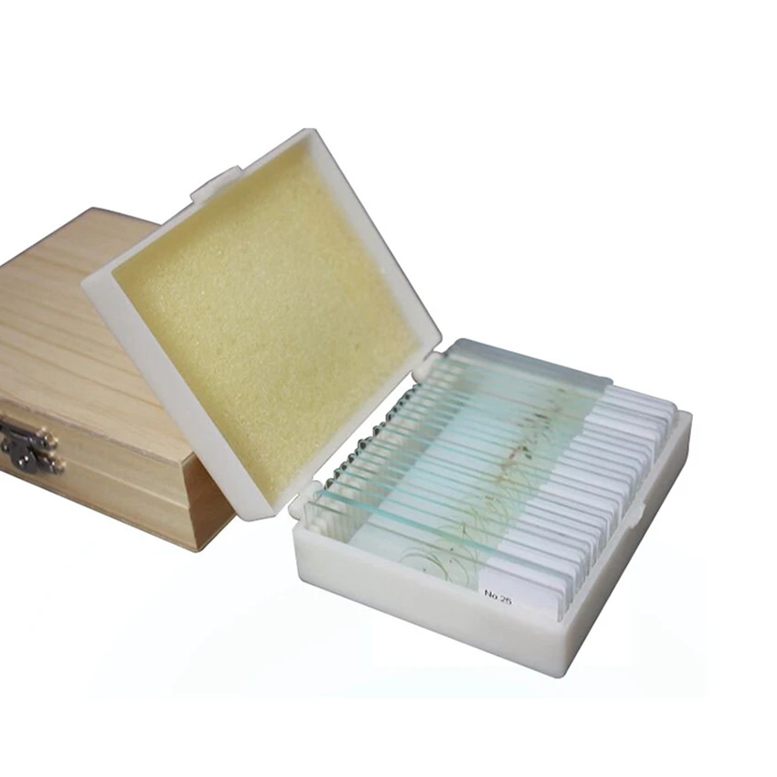 25PCS Insect Biopsy Specimen Slices Parasites Permanent Slides Specimen