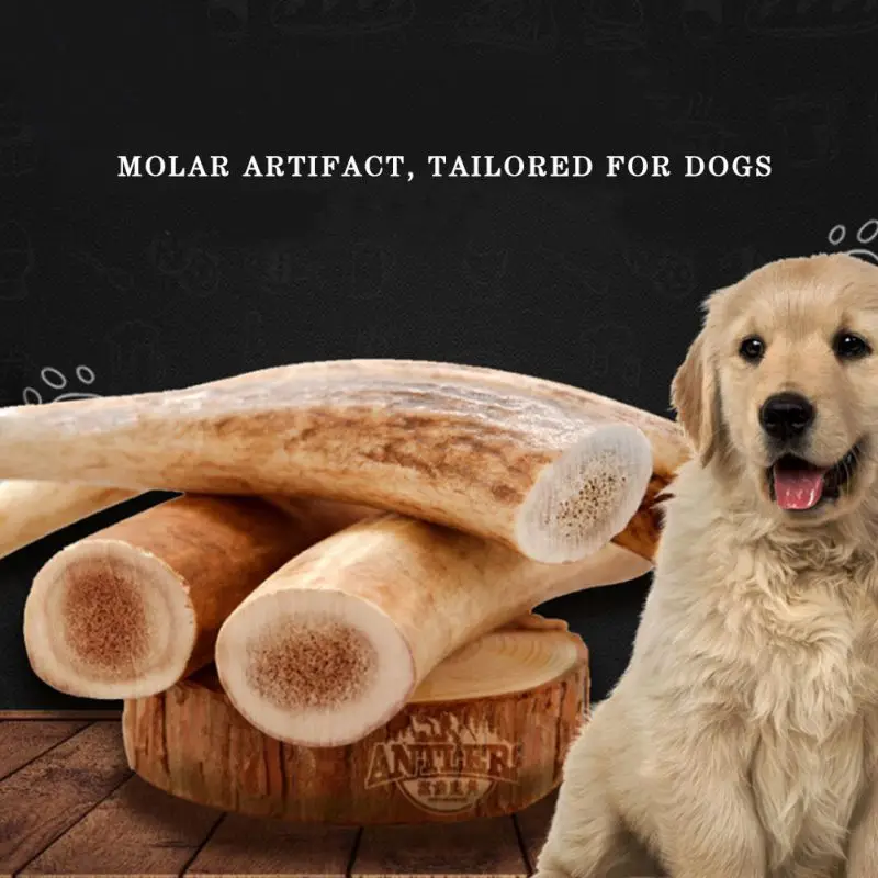 

20g/40g/60g Antler Molar Stick Pet Dog Natural Bite-resistant Tooth Safe Non-toxic Harmless Chew Toy Durable for Cleaning Teeth