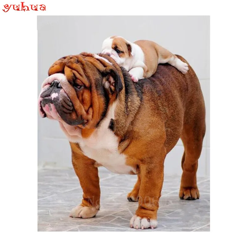 

5D Diy Diamond Painting Cross Stitch Diamond Embroidery Bulldog & Dog Baby Diamond Mosaic Pattern Rhinestone Needlework #