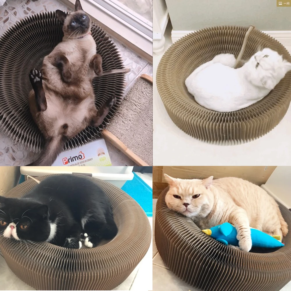 Забавная доска для кошек и тренировочная игрушка котят складной туннель