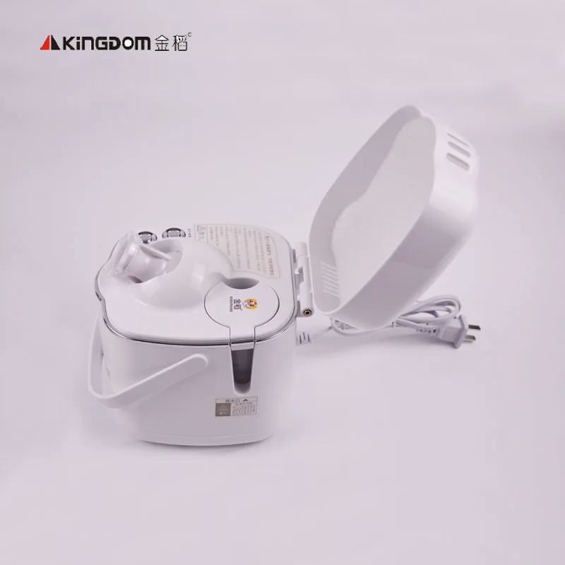 

Ion Beauty steam Instrument Cleansing Face Humidifier Moisturizing Freckle Replenishment Facial Steamer