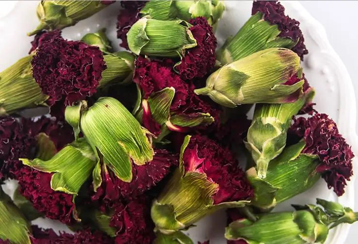 Carnation