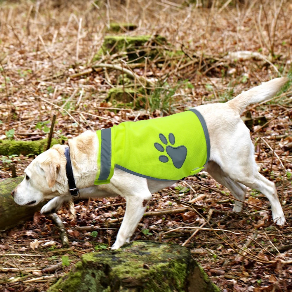 Светоотражающая собачья жилетка, одежда с высокой видимостью, жилеты безопасности для маленьких и больших собак, шлейка для прогулок на открытом воздухе