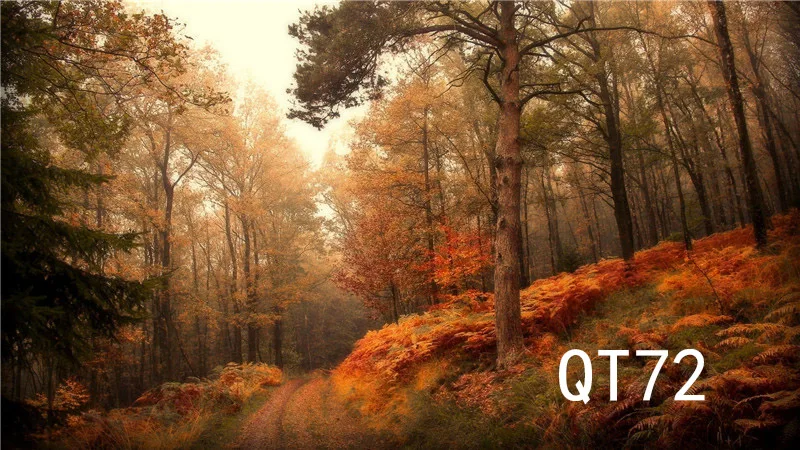 QT72