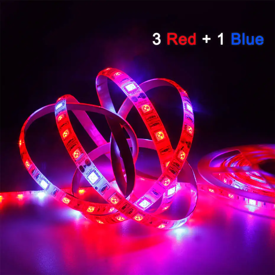 LED Phyto Lamps Full Spectrum LED Strip Light 300 LEDs 5050 Chip Fitolampy Grow Lights For Greenhouse Hydroponic 5 M grow light