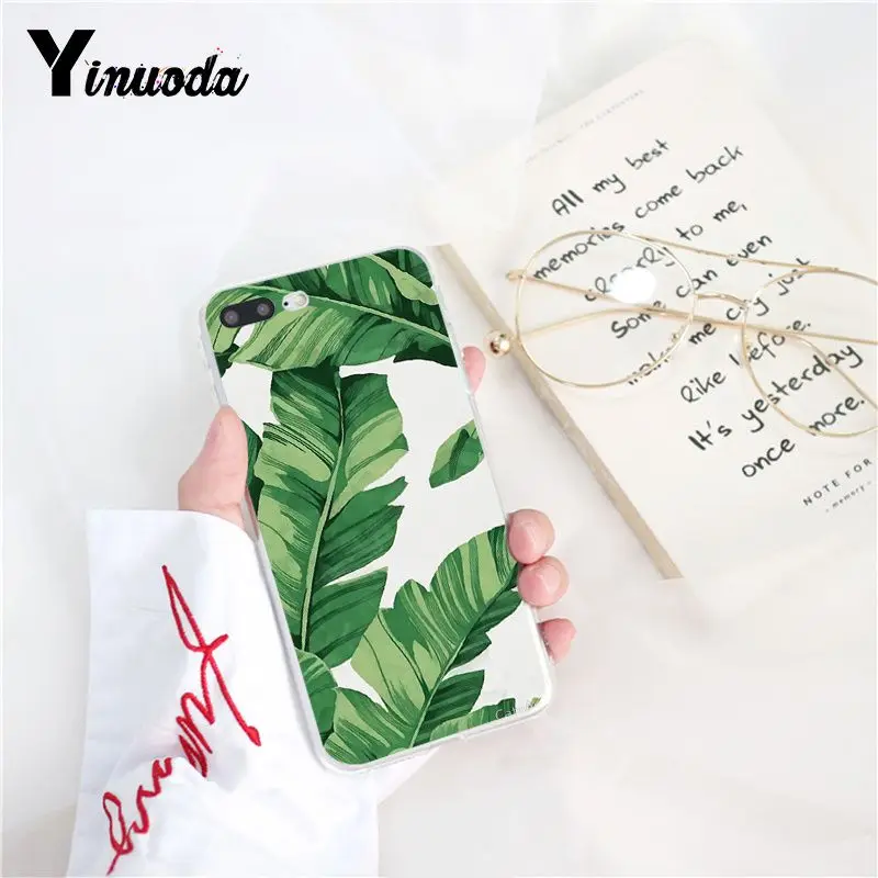 Tropical Plants Cactus Banana Leaves