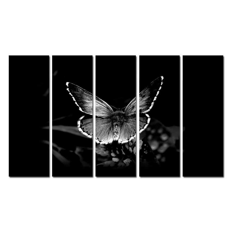 5 Panel HD Canvas Pictures Wall Art Framework 5 Pieces Butterfly