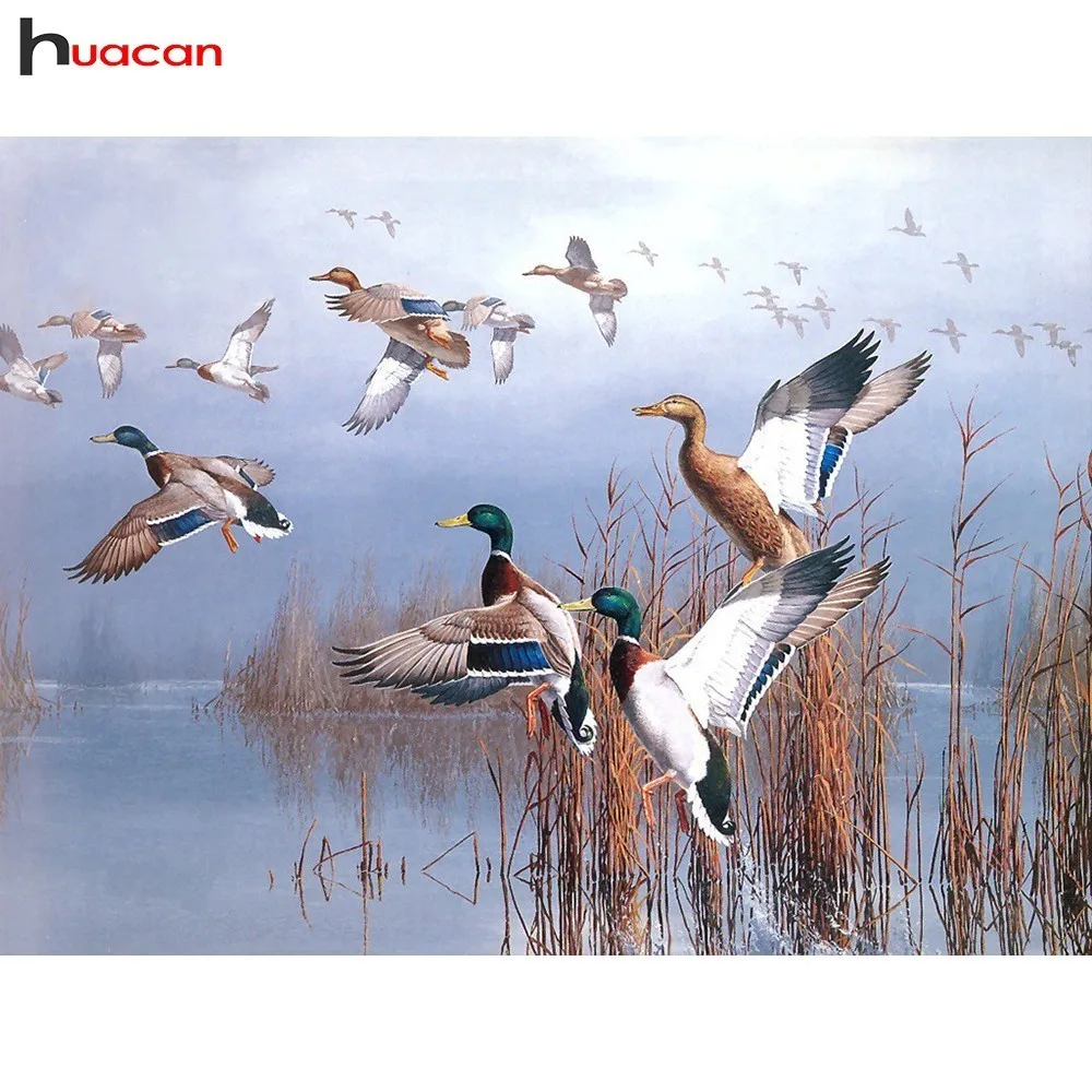 

HUACAN Full Square/Round Drill Diamond Painting Animals Mosaic 5D DIY Diamond Embroidery Cross Stitch Wild Duck Decoration Home