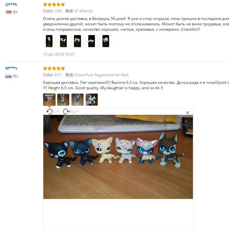 Магазин домашних животных Lps игрушки стоят коротких волос кошка собака колли