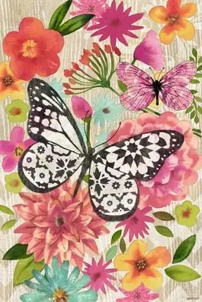 744a8aa894e3dfb0155480caf0fd461e--butterfly-art-butterflies